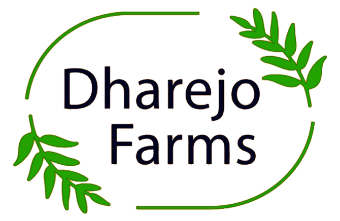 dharejo-logo